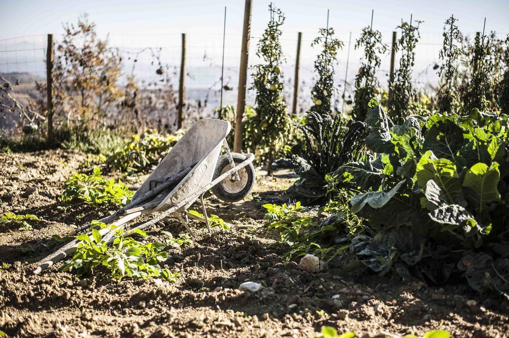 Azienda Agrituristica Alcastle Montabone Dış mekan fotoğraf