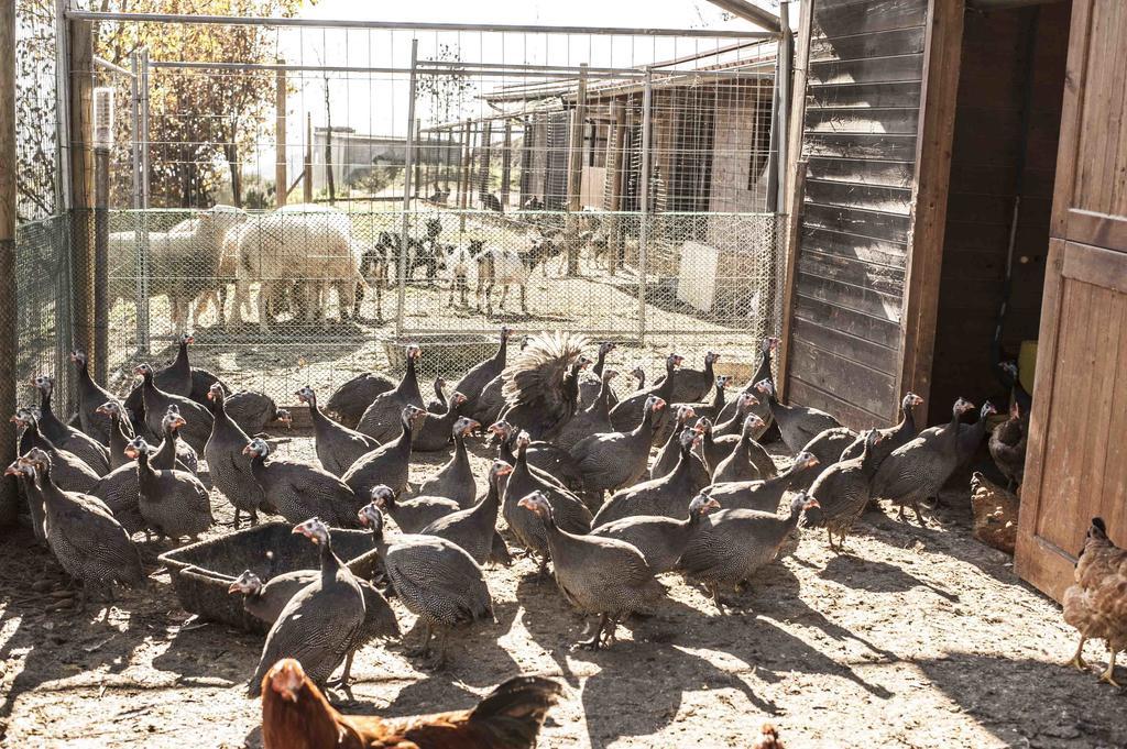 Azienda Agrituristica Alcastle Montabone Dış mekan fotoğraf