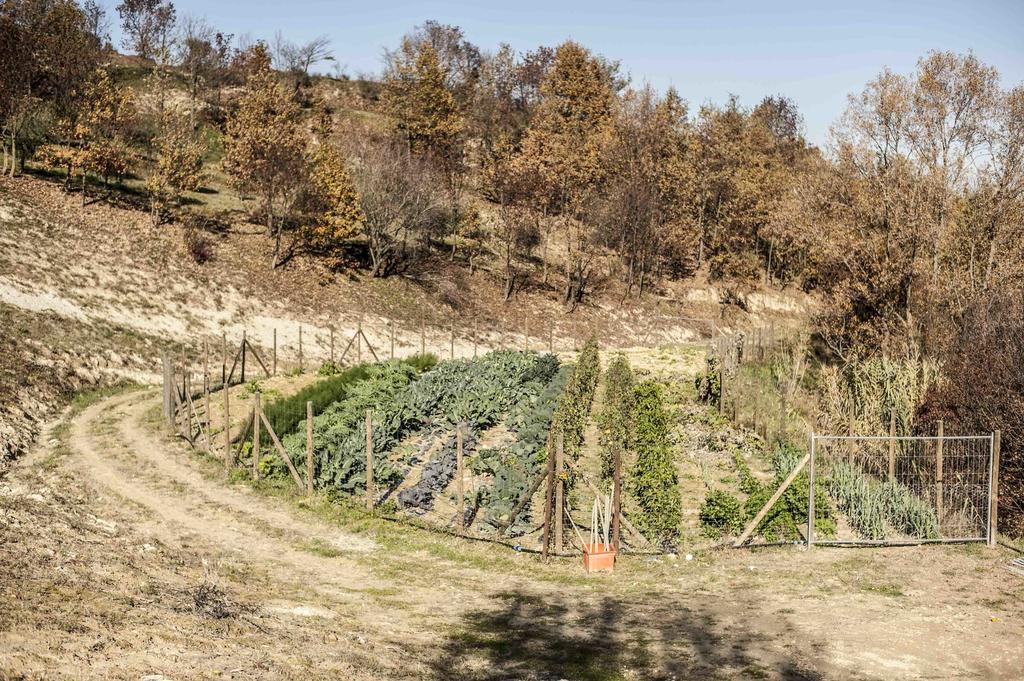 Azienda Agrituristica Alcastle Montabone Dış mekan fotoğraf